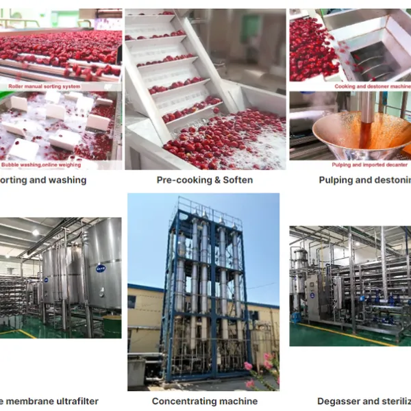 Turnkey Project Complete Set of Palm Dates Processing Line Date Syrup Production Line photo-6