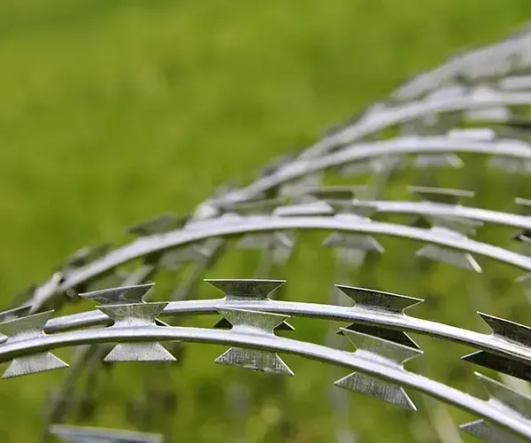 Barbed Wire