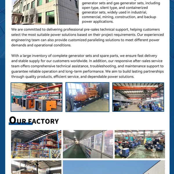 Portable Diesel Generator Set Fuel Efficient Diesel Generators 200KW Certified Water Cooling Diesel Generator photo-3