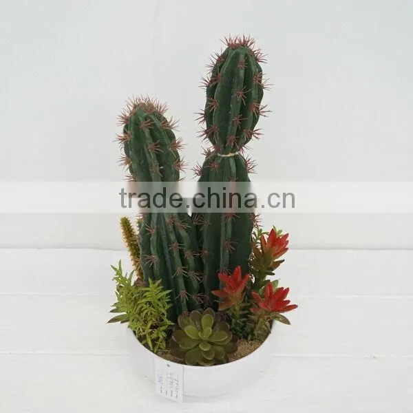 2014 Latest Green Mixing Artificial Plants Cactus Plants Wholesale photo-3