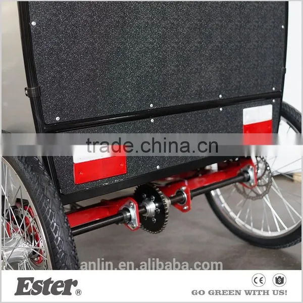 ESTER E Rickshaw Three Wheel Electric Rickshaw Motor photo-6