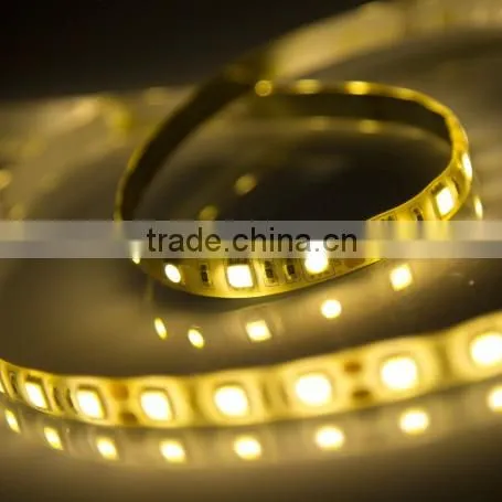 SDSLED LED Flexible Strip IP65 Strip Light 5050 60LED/m Warm White Strip-White DC12V photo-4
