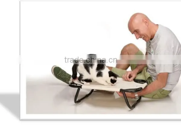Lassie photo-4
