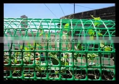 PP & HDPE Plastic Extruded Net for Garden Fence photo-5
