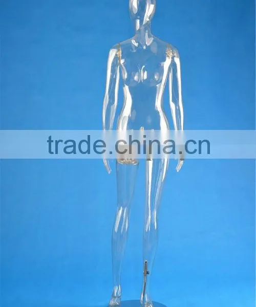 Full Body Transparent Plastic Mannequin photo-3