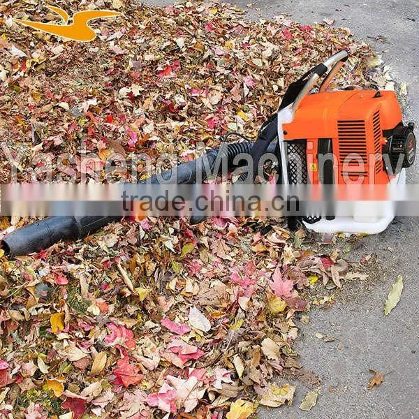 Backpack Leaf Blower for Clearing Leaf