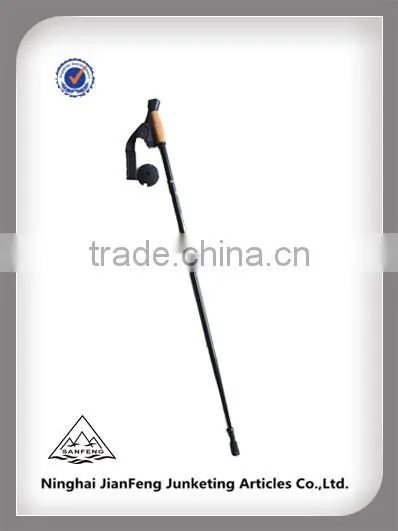 Trekking Pole