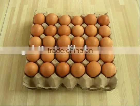Egg Tray Making Machine/Low Price Waste Paper Making Egg Tray Machine photo-5