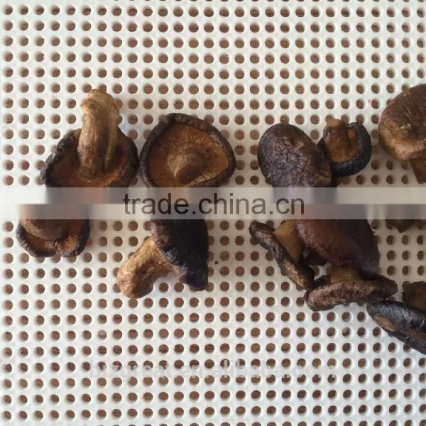 Vacuum Fried Dried Vegetables Chips-VF Dried Mushroom Crispy photo-2