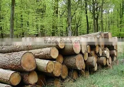 Acacia/eucalyptus/bingtagor Core Veneer photo-4