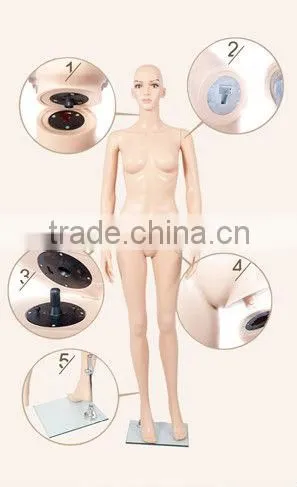 New Fashion Style With Plus Size Bust Mannequins photo-5