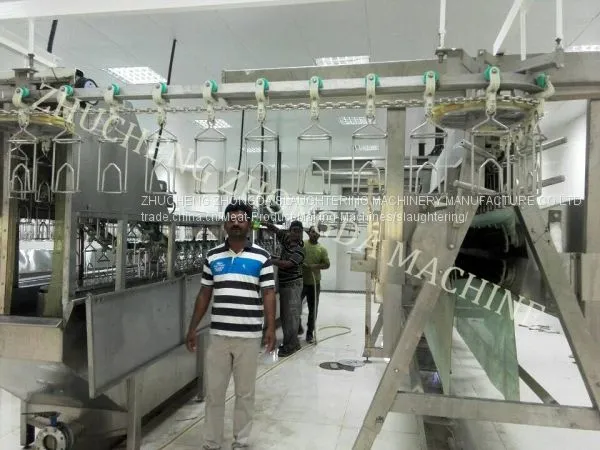 CHICKEN SLAUGHTER AND ABATTOIR MACHINE photo-2