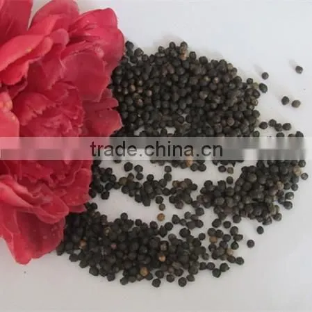 Malabar Spinach Seeds Vegetable Seeds for Planting photo-5