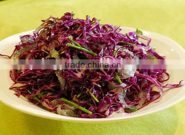 2016 Fresh Red Cabbage Premium Cabbage Export photo-6