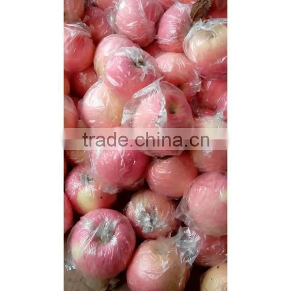 Fuji Apples photo-2