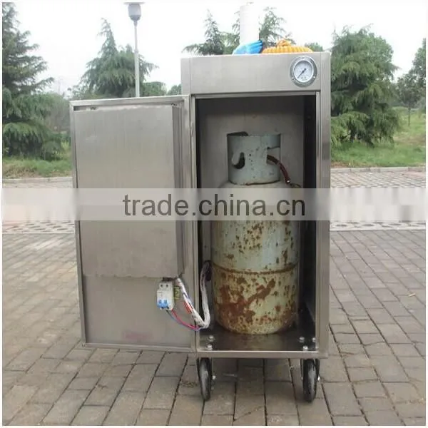 2015 New Style Gas Steam Car Washer With Single Gun For Car Washing photo-5