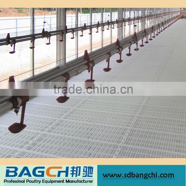 Bangchi Poultry Automatic Equipment Feeding and Drinking System photo-3