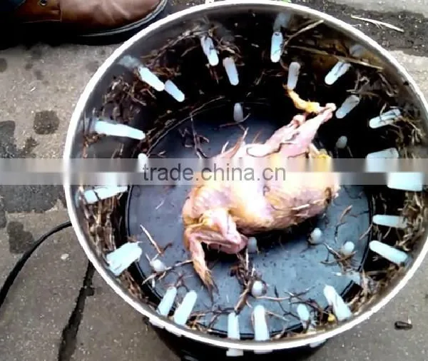 HHD Futomatic CE Approved Energy-saving Mini Commercial Chicken Plucker Machine for Sale/chicken Feather Remove Machine photo-4