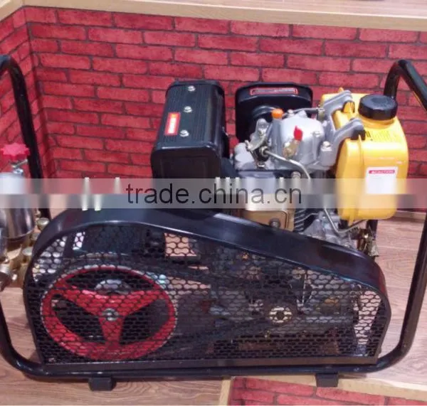 Stretcher Power Sprayer YL-30DE photo-3