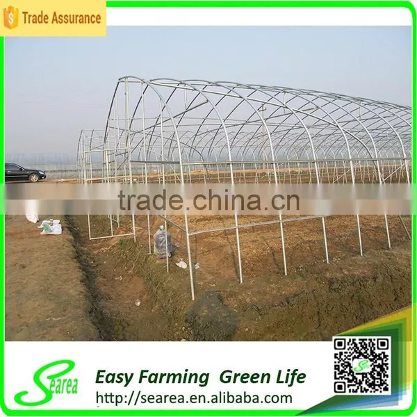 Arch Pips Greenhouse for Crops photo-4