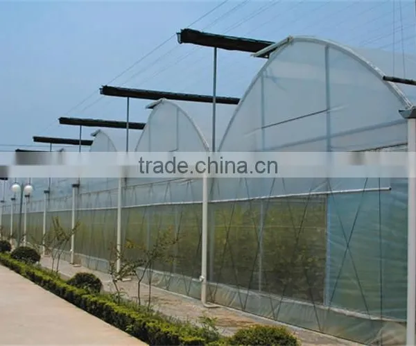 Baolida Cheap Vegetables Tunnel Greenhouse photo-4