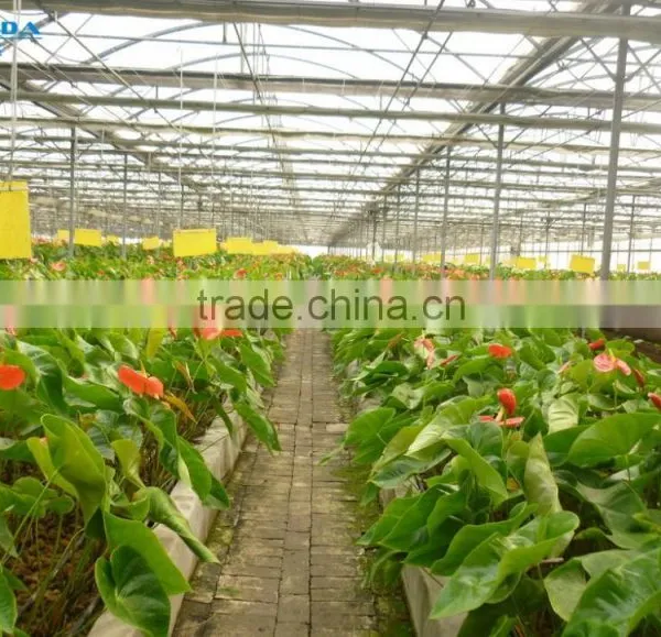 Easily Assembled Polycarbonate PC Sheet Greenhouse For Agriculture photo-3