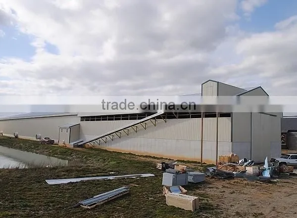 BT Factory Chicken Farming for Broiler Chicken photo-2