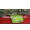 Electric Vehicle