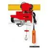 Electric Hoist YT-300/600B