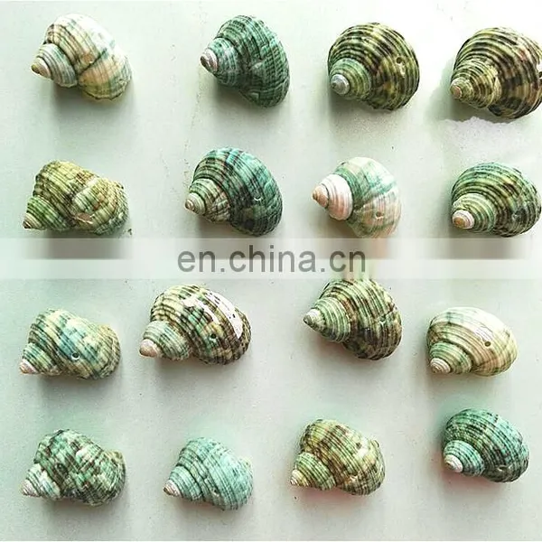 DIY Natural Seashell Color Style Charm Shell Accessories for Jewelry Finding photo-2