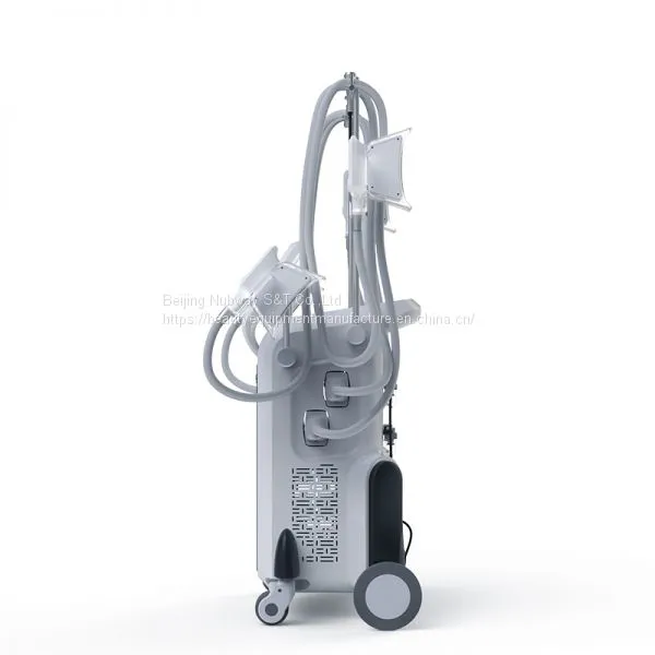 4 Handles Cryolipolysis Fat Freezing Machine Vacuum Fat Cellulite Machines for Body Slimming in Discounting Spa/clinic photo-2