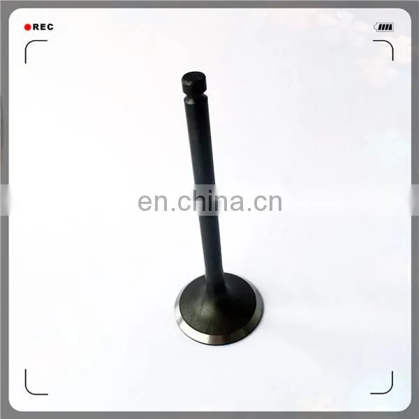 Oem 13715-54040 13711-54020 Engine Valve for Toyota 2L 3L 1KZTE photo-2
