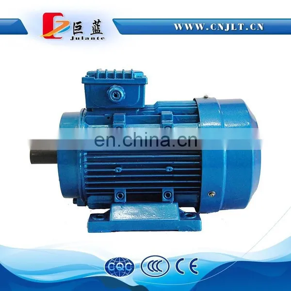 Squirrel Cage Three Phase Induction Motor photo-4