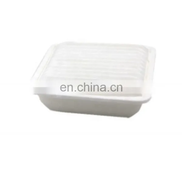 Hot Selling Japanese Car Air Filter Of Parts OEM MR571396 MR906051 for Galant photo-2