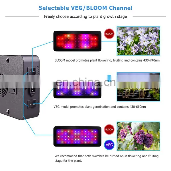 Wholesale Hydroponic Lamp Double Switch 900 Watt Full Spectrum LED Grow Light for Indoor Plants Growing photo-4