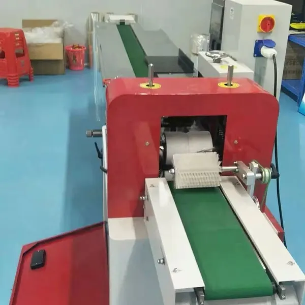 Single Piece Packaging Machine Horizontal Packing Machine Fully Automatic photo-2