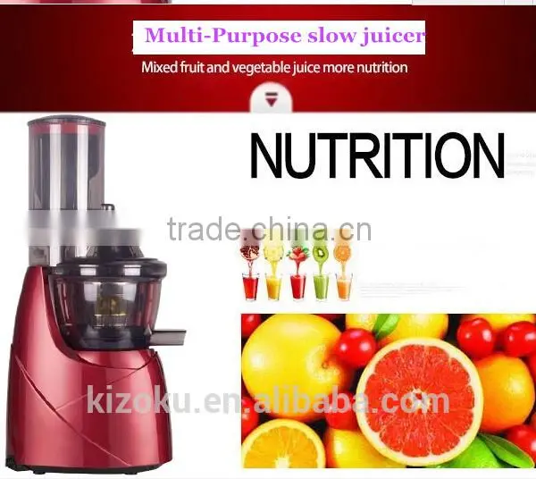 China 300w Stainless Steel Housing Slow Juicer photo-5