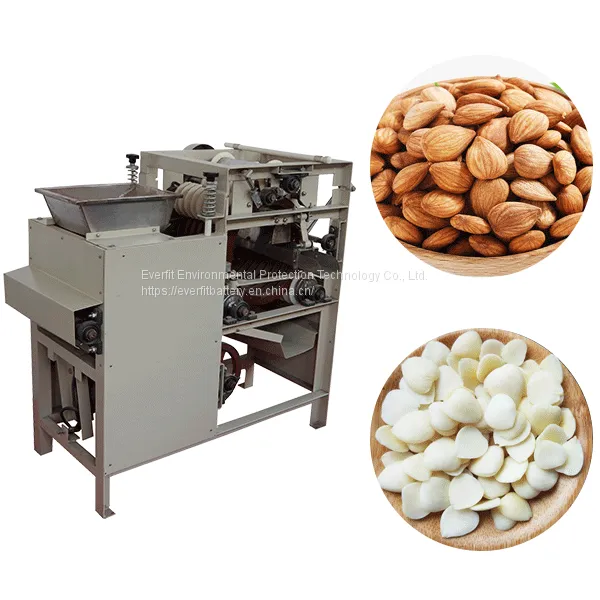 Multifunctional Almond Peeler Wet Peeling Machine | Wet Almonds Peeling Machine | photo-3