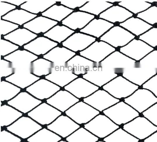 Hot Sale The Best Strawberry Protection Bird Net