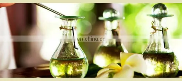 Made in CHINA New Design Essential Oil Distillation Equipment Extraction Machine photo-5