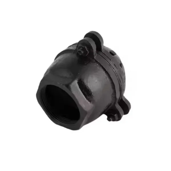 Water Pump Foot Valve 1-1/4 Inch NPT Thread, Cast Iron Material With Flap Mechanism photo-5