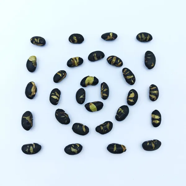 Premium Non-fried Large Black Soy Bean Snacks Roasted Saline Flavor for Global Supermarkets and Retailers photo-3
