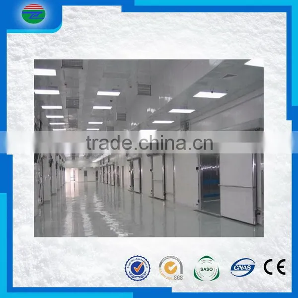 Most Popular Creative Nice Looking Cold Storage/cold Room for Corn Seed photo-4