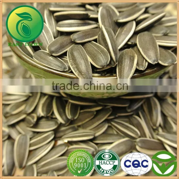 2015 Price of Grey Sunflower Seeds photo-3