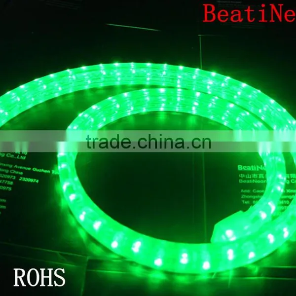 Chasing LED Motif Light Rope Light 13mm 220V