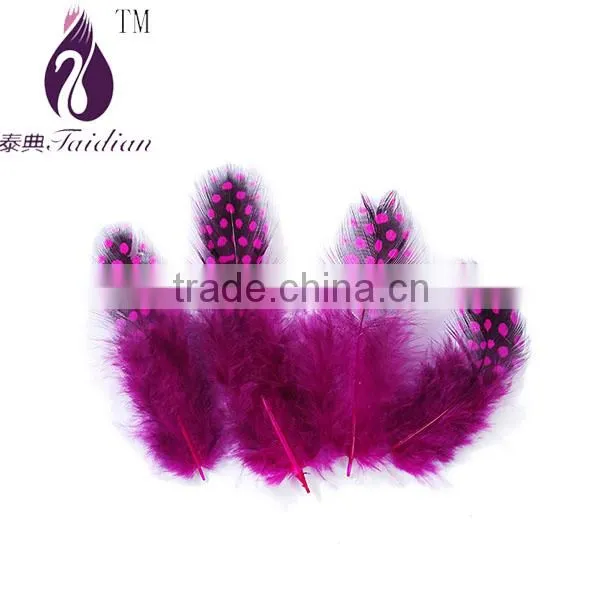 Natural Pearl Chicken Feathers,guinea Fowl Feather Trim Quality Choice photo-3