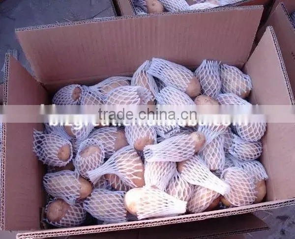 Supply Fresh Vegetables ,high Quality Fresh Potatoes for Sale photo-5