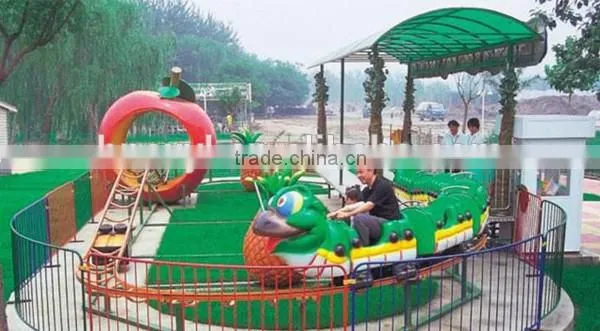Lovely Amusement Park Rides Caterpillar Glide Roller Coaster for Sale photo-6