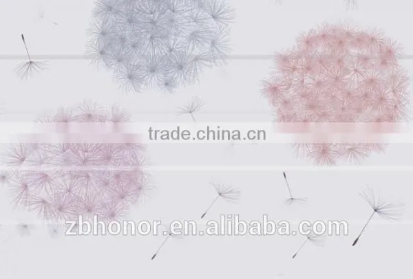 2016 63026H Wall Tile Zibo Tile Deco Zibo Tile photo-2