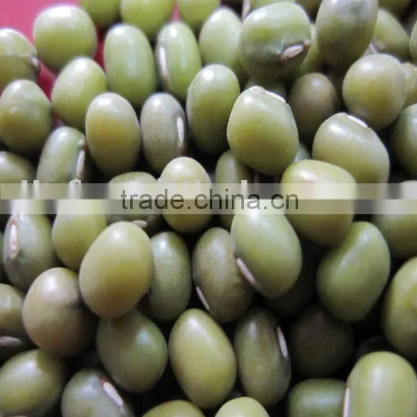 All Green Mung Beans 2010 Crop